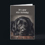 Funny 70th Birthday, Labrador Retriever Card<br><div class="desc">Funny Birthday 70th ,  Sad Dog,  original watercolor Labrador Retriever, </div>