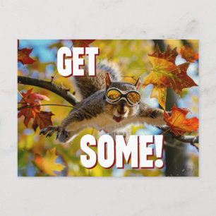 Funny Action Squirrel Postcard "Get Some"
