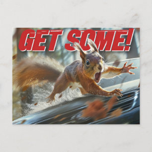 Funny Action Squirrel Postcard "Get Some"