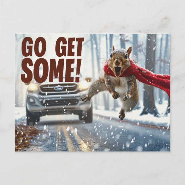 Funny Action Squirrel Postcard "Get Some"			 (Front)
