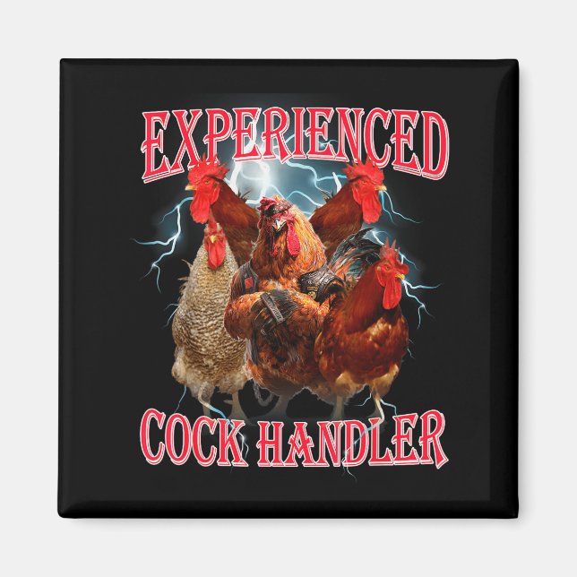 Funny Adult Humor Experienced Handler Inappropriat Magnet (Front)