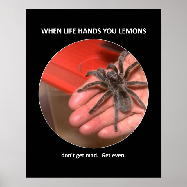 Funny Advice Don't Get Mad Get Even Poster (Front)