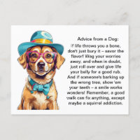 Funny Advice From A Dog