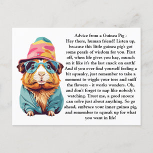 Funny Advice From A Guinea Pig Postcard
