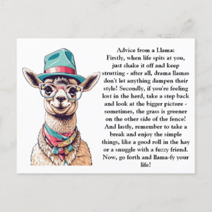 Funny Advice From A Llama Postcard