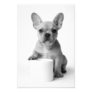 Funny Aesthetic French Bulldog Toilet Paper Photo Print