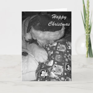 funny akita dog with christmas gift christmas holiday card