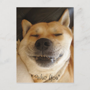 funny akita japanese type with cute smile love postcard