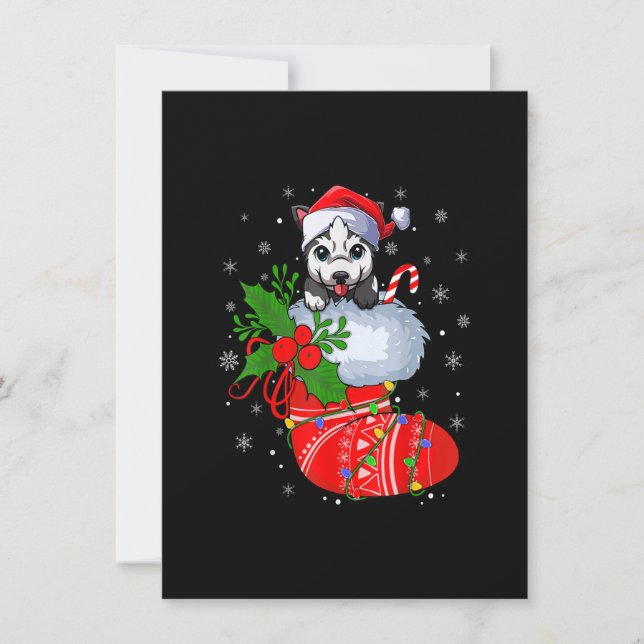 Funny Alaskan Malamute Dog In Christmas Socks Sant Invitation (Front)