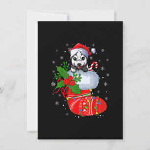 Funny Alaskan Malamute Dog In Christmas Socks Sant Invitation