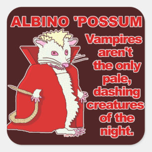 Funny Albino Possum Vampire Animal Square Sticker