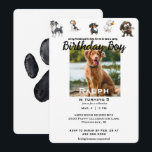 Funny All My Friends Pet Photo Birthday Party Invitation<br><div class="desc">Pet Photo Birthday Party Invitation.  Could change girl to boy.  Everything is changeable.  Birthday Boy.  Funny Pet Birthday Party Invite.</div>