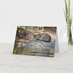 Funny Alligator Cat Nap Card