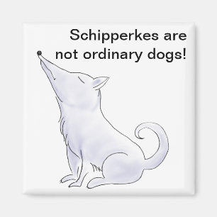 Funny Aloof Schipperke Dog Cartoon Magnet