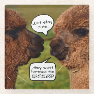Funny Alpaca Alpacalypse Scheming Glass Coaster