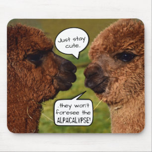 Funny Alpaca Alpacalypse Scheming Mouse Mat