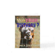Funny Alpaca Birthday Card – Animal Pun Humor
