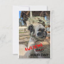 Funny Alpaca Card, Any Occasion Thank You Card