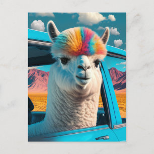 Funny Alpaca in a Car Art Postcard
