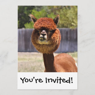 Funny Alpaca Invitation
