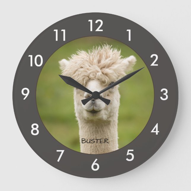 Funny Alpaca|Llama Custom Large Clock (Front)