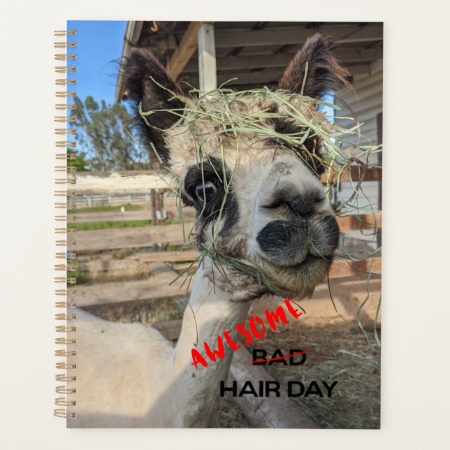 Funny Alpaca Planner (Front)