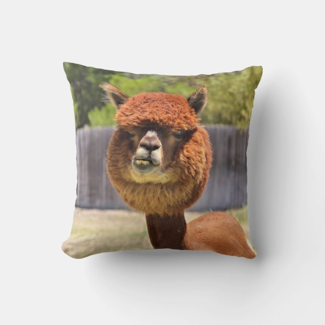 Funny Alpaca Throw Pillow (Front)