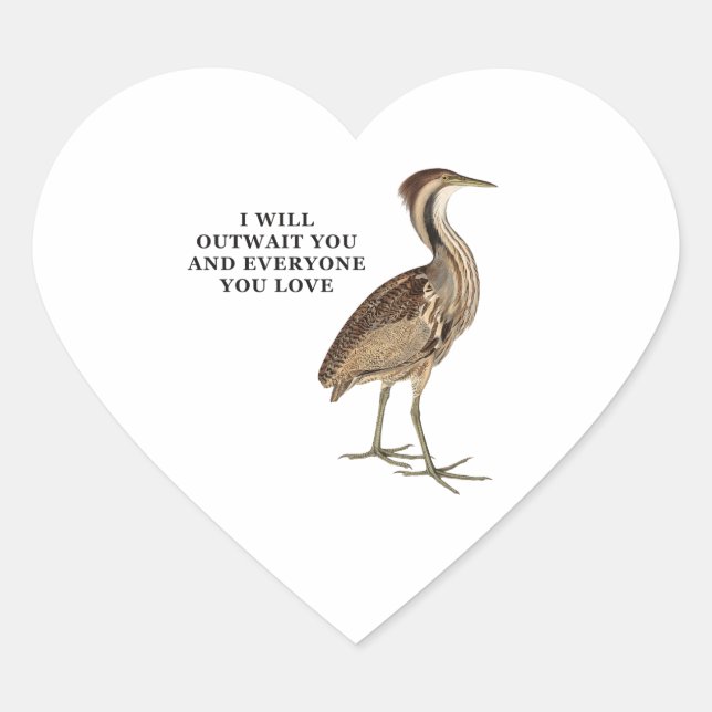 Funny American Bittern Stickers (Front)