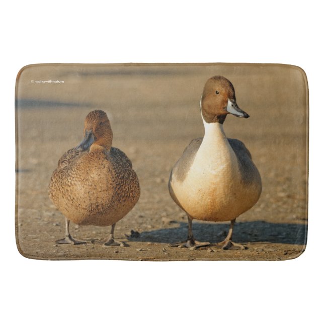 Funny American / Northern Pintail Ducks Gothic Bath Mat (Front)