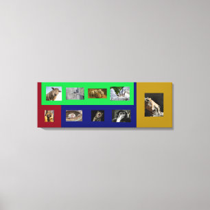 Funny Amimals on Colourful Stretched Canvas Print