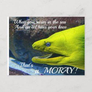 Funny Amore (a Moray)  Valentine Postcard