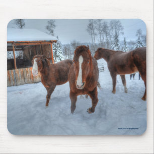 Funny Amorous Stallion and Reluctant Mare Horses Mouse Mat