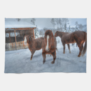 Funny Amorous Stallion and Reluctant Mare Horses Tea Towel