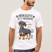 Funny Anatomy Dachshund Wiener Dog Cute Doxie Love
