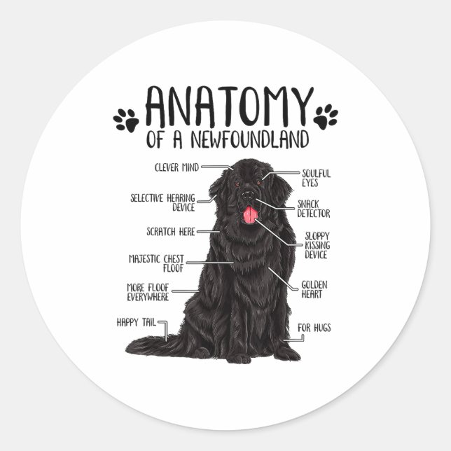 Funny Anatomy Newfoundland Dog Cute Newfie Lover  Classic Round Sticker (Front)