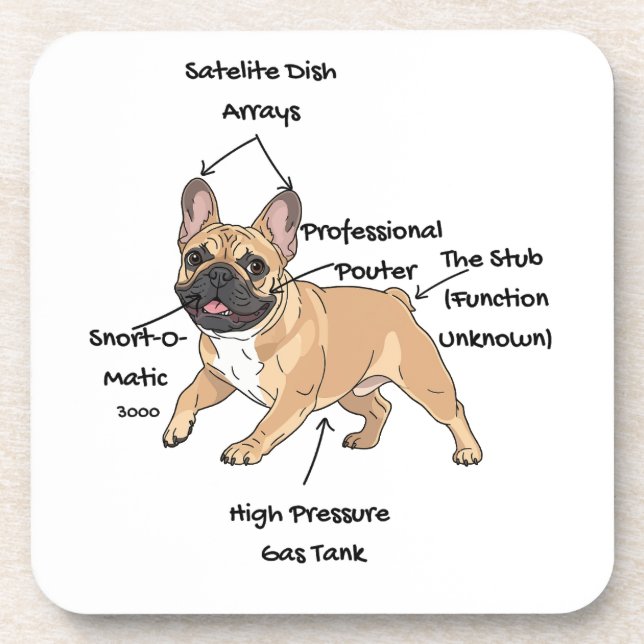 Funny Anatomy of a French Bulldog Illustration Coaster (Front)
