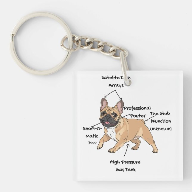 Funny Anatomy of a French Bulldog Illustration Key Ring (Front)