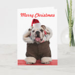 Funny and cute Bulldog Christmas cards<br><div class="desc">Funny Bulldog wearing Santa hat, coat and scarf. A photo Christmas card all you dog-loving friends will adore, especially any bulldog fans. Christmas message can be personalised. Another original image from one of the best dog photographers in the country. Sam Allen has been photographing dogs and other pets across the...</div>