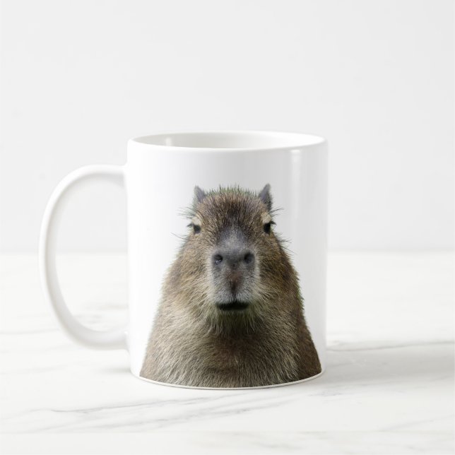 Funny and cute expression of capybara mug  (Left)
