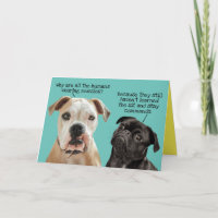 Funny and Cute Sit and Stay Dogs During Pandemic