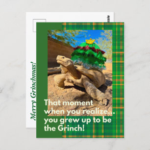 Funny and Festive Grinch Sulcata Tortoise Holiday Postcard