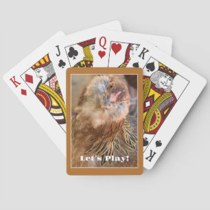 Funny Angled Chicken Head Photo  Playing Cards