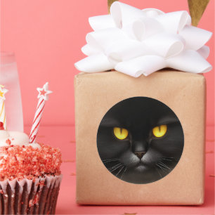 Funny Angry Fluffy Black Persian Kitty Cat Face Classic Round Sticker