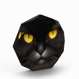 Funny Angry Fluffy Black Persian Kitty Cat Face Photo Block