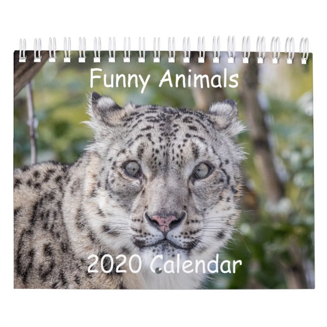 Funny Animal Calendar (Cover)