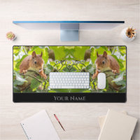 Funny animal funny squirrel let´s go nuts quote