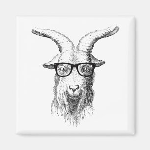 Funny Animal Hipster Goat with Glasses Magnet