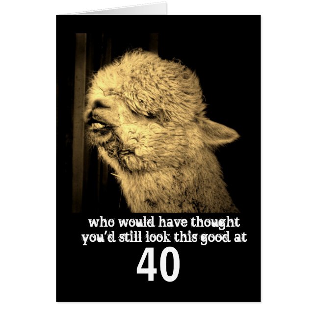 funny animal  humour alpaca photo custom birthday (Front)