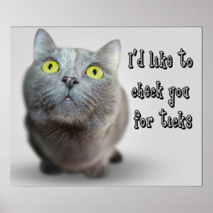 Funny Animal Memes Cat Memes Humourous Photos Poster