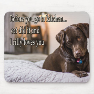 Funny animal memes Dog memes Humourous Photos Mouse Mat